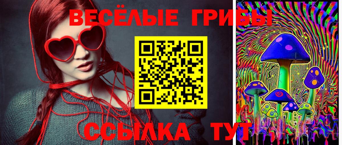 Галлюциногенные грибы MAGIC MUSHROOMS Чернушка