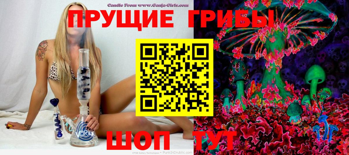 Чернушка  Псилоцибиновые грибы Psilocybe  Галлюциногенные грибы Psilocybine cubensis  Вход с VPN 