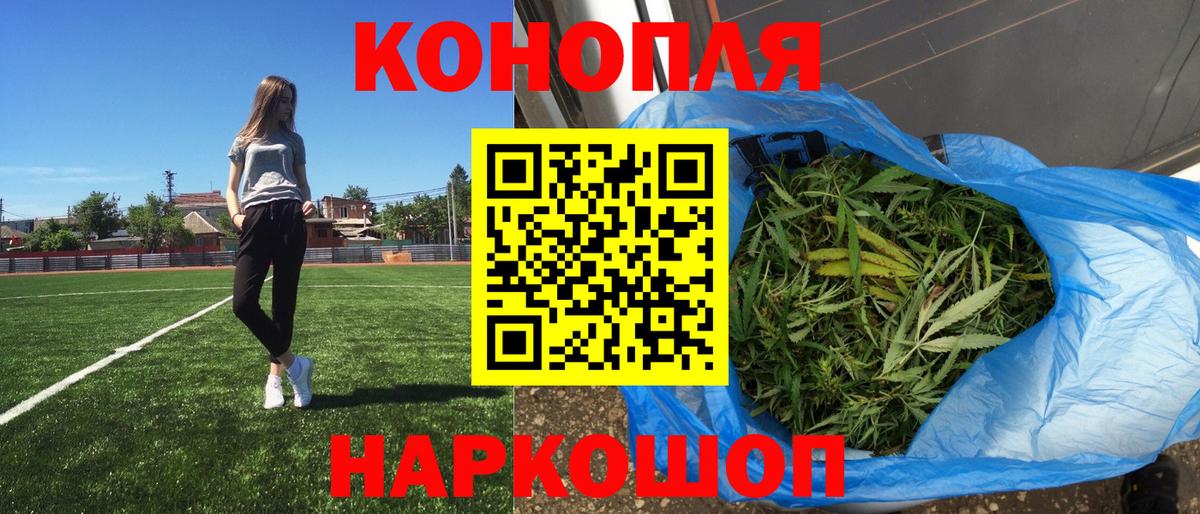 Конопля сатива  Канабис White Widow  Канабис ГИДРОПОН  Чернушка  Вход с VPN 